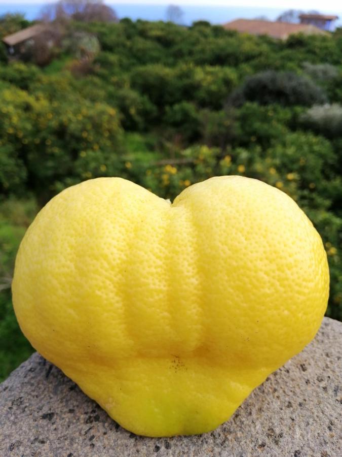 Вилла Il Limoneto Ачиреале Экстерьер фото
